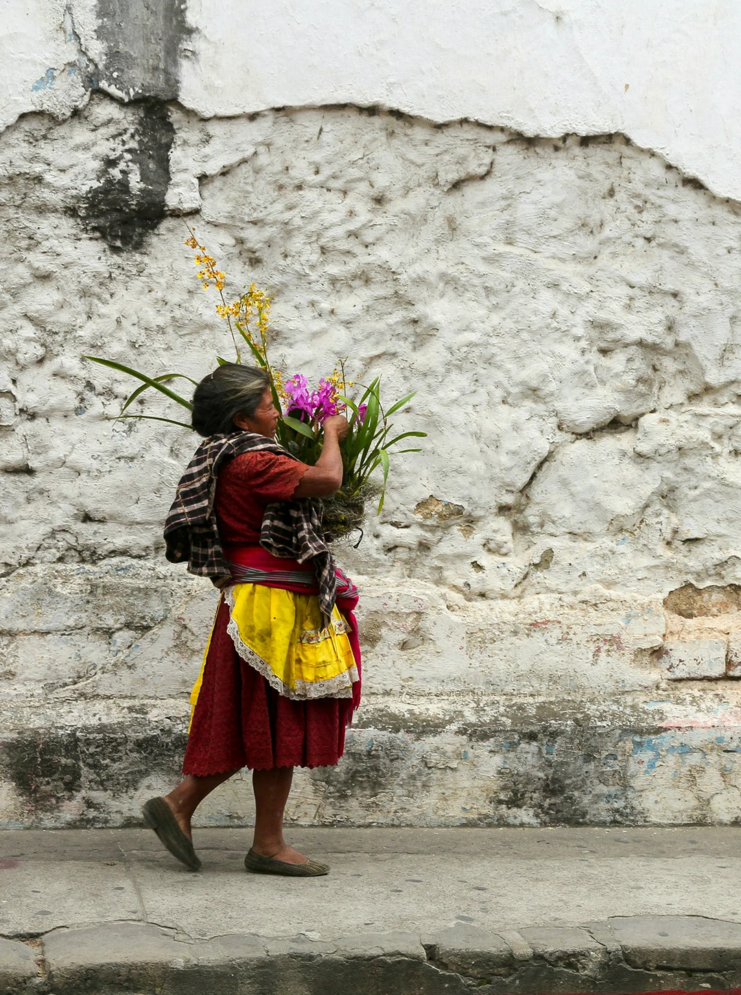 Guatemala (5)