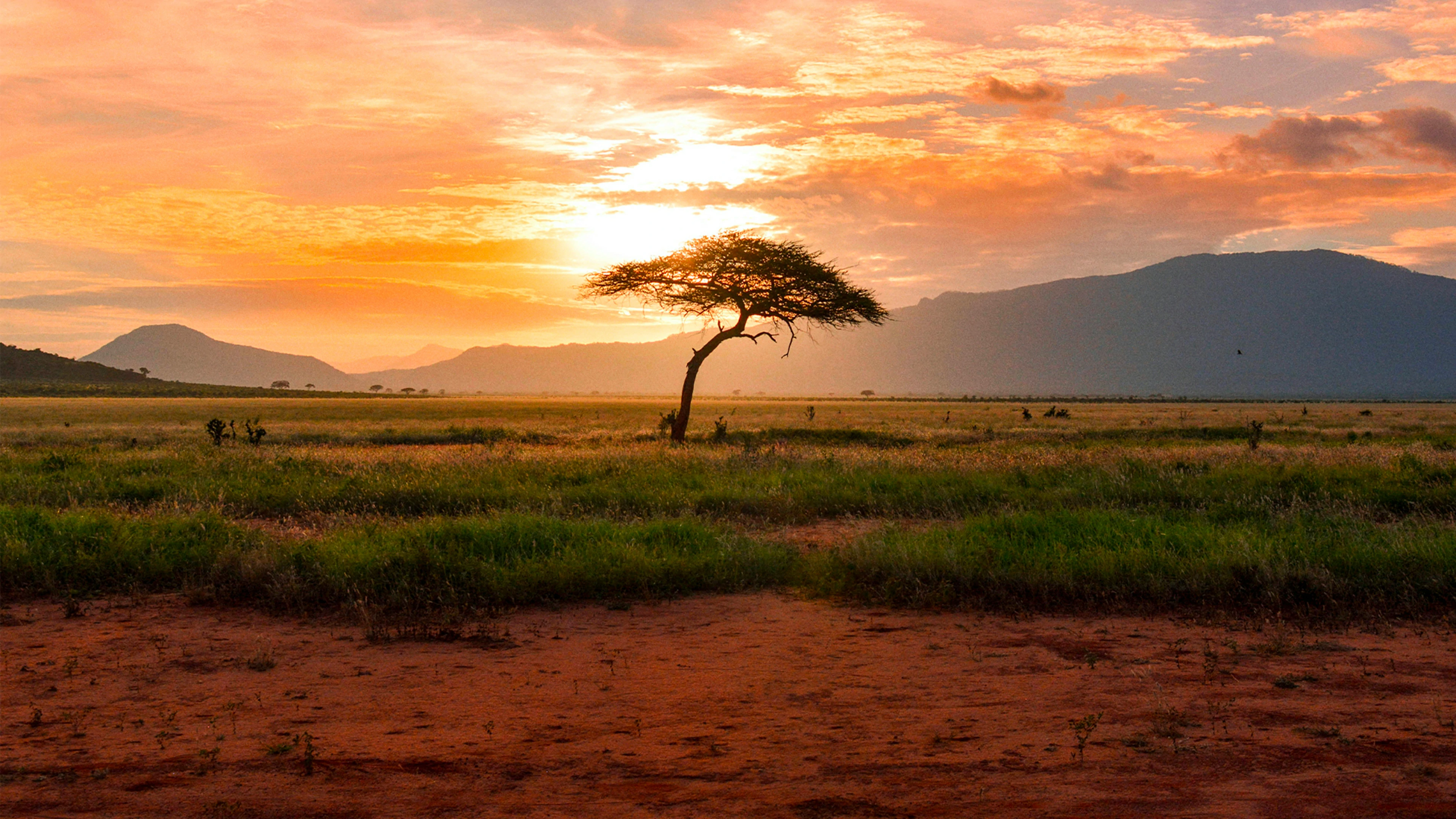Kenia