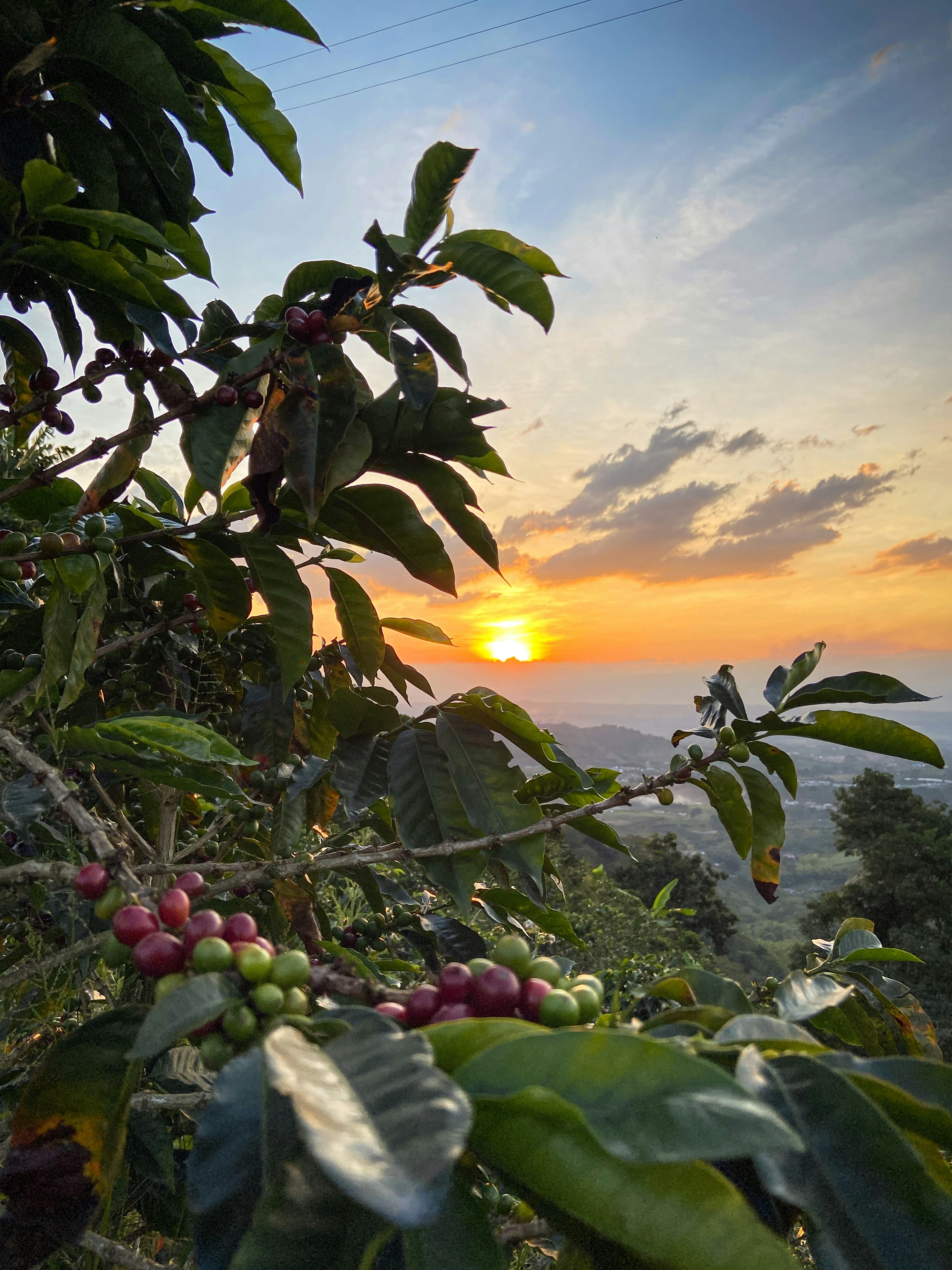 cesar-ardila-GU44RmwKiWE-unsplash